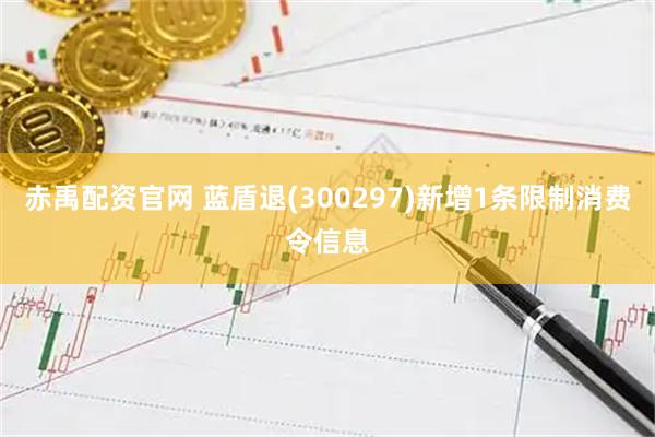 赤禹配资官网 蓝盾退(300297)新增1条限制消费令信息