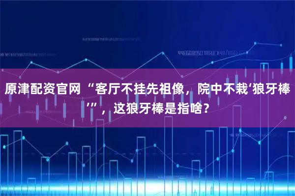 原津配资官网 “客厅不挂先祖像，院中不栽‘狼牙棒’”，这狼牙棒是指啥？